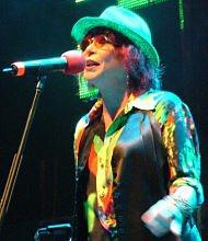 Rita Lee tem 15 guitarras roubadas